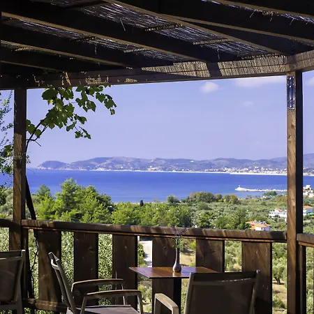 卡利斯蒂酒店 酒店 波托什